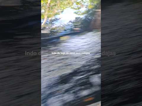 indo do lago do Miuá para codajas