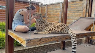 Герда начала спать в песочнице прячась от жары! Бесценное время с любимым  ге