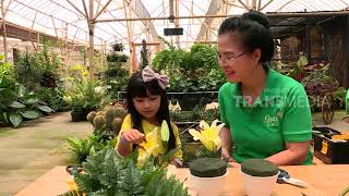 Download lagu LAPTOP SI UNYIL | BUNGA PEMIKAT (26/12/18) PART 3 mp3