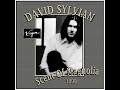 David Sylvian - The Scent Of Magnolia (1999)