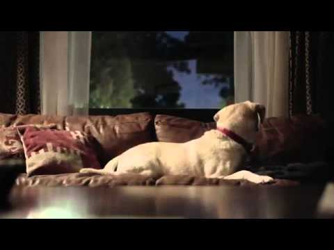 Budweiser: Friends Are Waiting