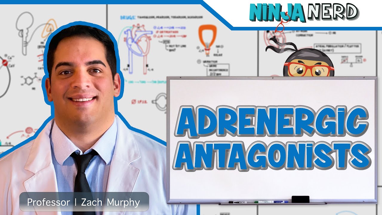 Autonomic Pharmacology | Adrenergic Antagonists