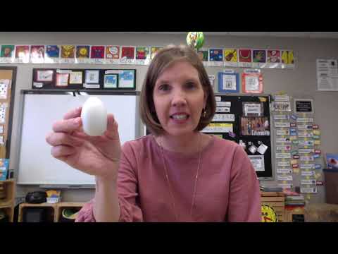 Eggs Day 4 - Strong enough to hold a car!?