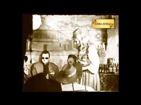 SILVANA ARMENULIC - GOLUBE POLETI SPOT