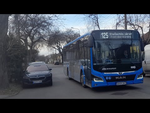 2024.12.22: Buszok a 25-ös, 125-ös és 125B-s vonalon
