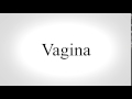 How To Pronounce Vagina