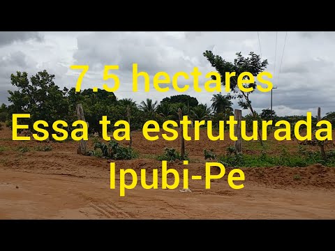 Cuida qui essa é boa. 7.5 hectares, Ipubi-Pe. 87981363923. Valor 100 mil