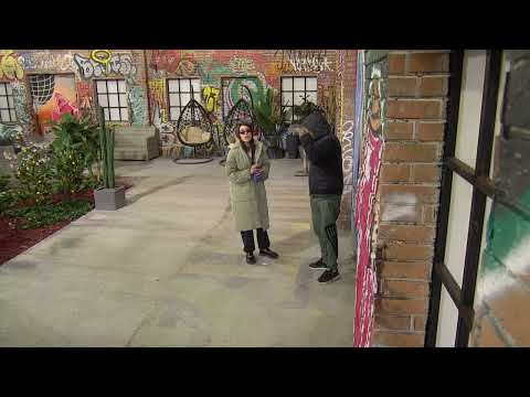 ALESIJA SPAVA, PIJE A MALO I PLJUJE - 20.12.2022. - INSTA TV