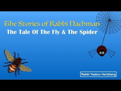 Rebbe Nachman's Stories | The Fly & The Spider | Rabbi Yaakov Hertzberg
