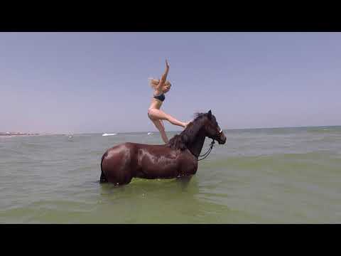 Revelry's Journey to the 2018 Extreme Mustang Makeover