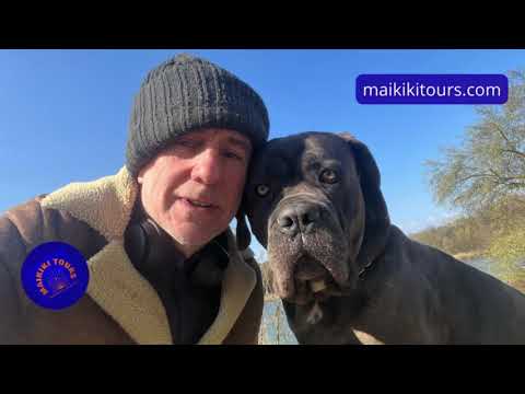 Tango argentino - Gracias Tango Maestro por tu filosofía, por Ricardo "Caíto" Blanch