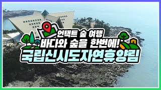 [#언택트숲여행] 바다와 숲을 한눈에! 국립신시도자연휴양림