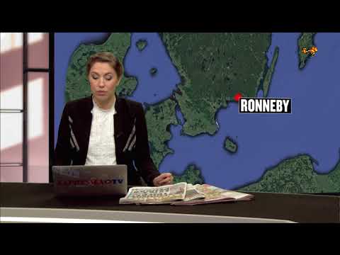 Storbråk på skola – minst fem skadade