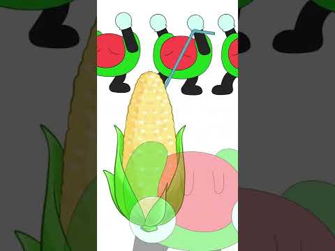 It's corn!! 🌽❤️