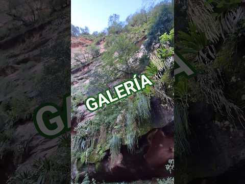 Segunda Galería del Sendero Gaucho. #senderogaucho #salta #ruta6