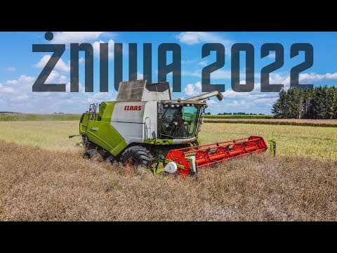 ŻNIWA RZEPAKU 2022✔ CLAAS W AKCJI✮GR SIKORSKI✔ CLAAS TUCANO 440✔