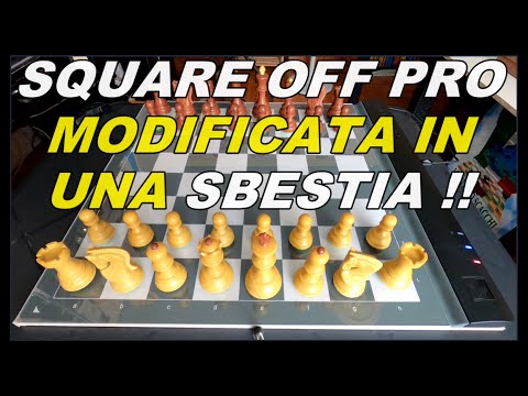 Square Off Pro modificata in una Sbestia