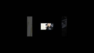 【#TheBeginning】【#ワンオク】【#shorts】【#永久機関】#完全感覚Dreamer プロフよりYouTube へ飛べます！#ワンオク #ワンオク好きと繋がりたい #ワンオクロック