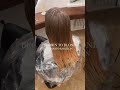 Brown To Blonde Hair Transformation My Hair Dyeing Experience