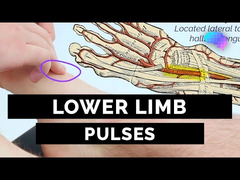 Lower Limb Pulses - OSCE Guide | UKMLA | CPSA | PLAB 2
