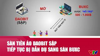 Sàn tiền ảo Daobit sập, nhà đầu tư tiếp tục bị dẫn dụ rồi mắc kẹt với sàn BUXC |