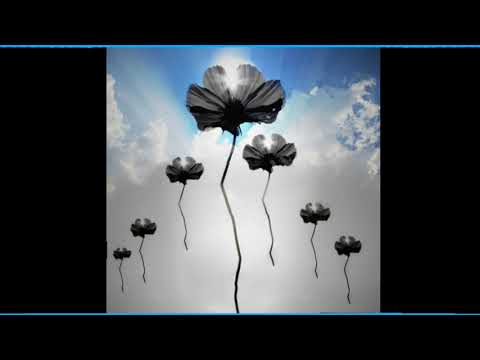 Heavens Window - Peter Kater