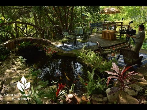 Serene Pond Backyard |Barbara and David Hale|Central Texas Gardener