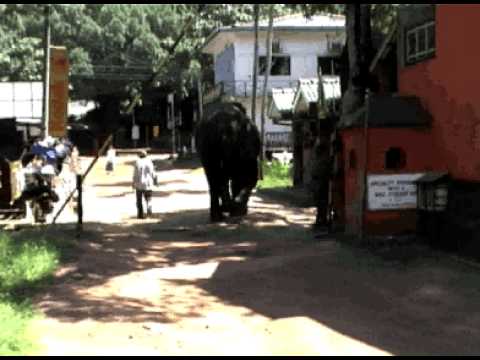 Travel fragments recorded using a borrowed camera (video)