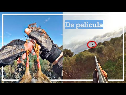 Lances de Caza 🔥¡𝗕𝗥𝗨𝗧𝗔𝗟!🔥 Marcando la diferencia🔝