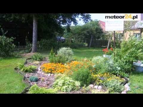 Agroturystyka Pod Kasztanem - Chojno meteor24.pl