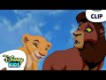 Simba S Daughter Learns To Roar The Lion King 2 ‪ Disneykids
