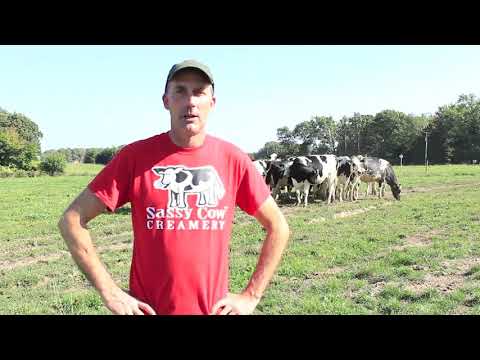 COWCAST Dry cows