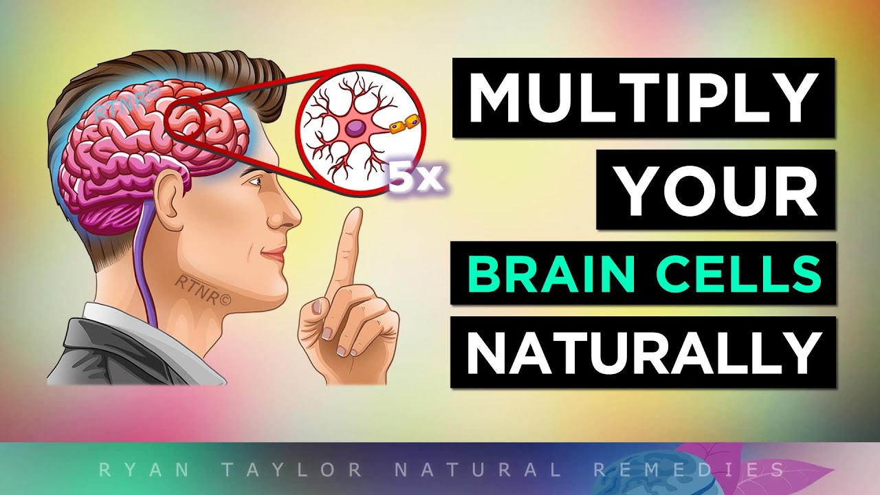 12 Ways To MULTIPLY Your BRAIN CELLS