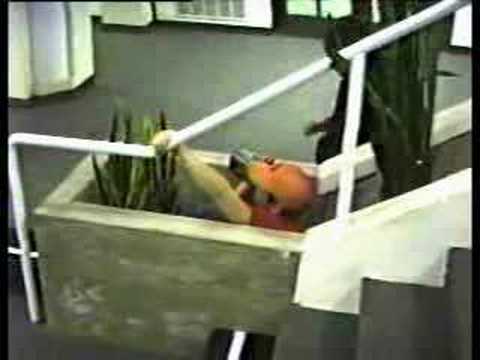 Transaction - The Stunt People