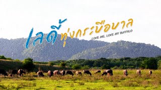 เลดี้ทุ่งกระบือบาล | ละครดี 7HD ปี 2567