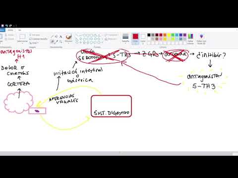 Mecanismo de acción e indicaciones de antieméticos.