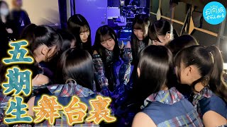 新参者ドキュメンタリー