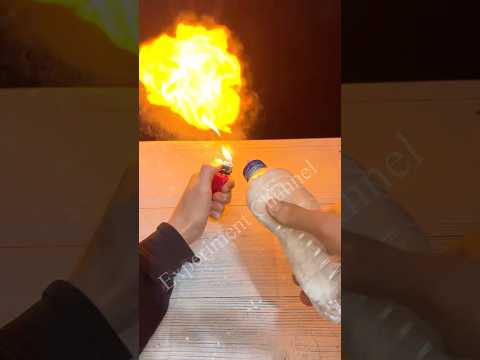 Sugar Experiment #shorts