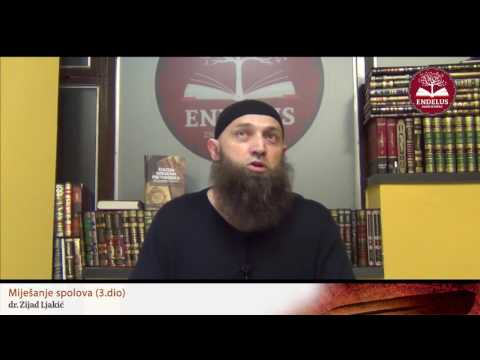 Miješanje spolova (3.dio) - dr. Zijad Ljakić