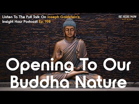 Buddhist Teacher Joseph Goldstein On Opening To Our Buddha Nature