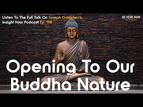 Buddhist Teacher Joseph Goldstein On Opening To Our Buddha Nature