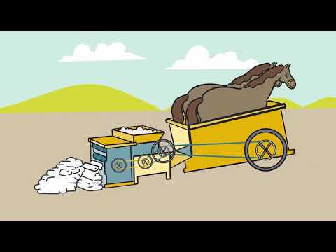 The Cotton Gin - An Infamous Invention