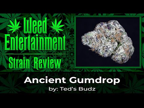 Gumdrop Strain Allbud