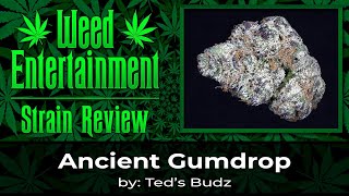 Ancient Gumdrop - by Ted's Budz - Strain Review - April 2023