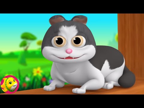 Meow Meow Billi Karti, म्याऊं म्याऊं बिल्ली करती, Bandar Mama, Kids Nursery Rhymes In Hindi