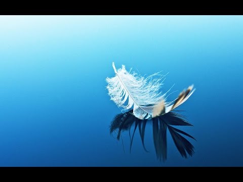 Delerium feat.Rani - Fallen