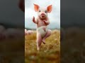 Diaper Dancing Pig Pigdance Petdance Diaper Trending Pig