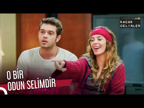 Kaçak Kızlar Varsa Kazanmak Vardır | Kaçak Gelinler