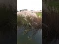 Song Aaj Kehna Zar Akshay Kumar Lara Dutta Singers Alka Yagnik Udit NarayanMusic Nadeem Shravan