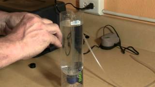 Build a Brine Shrimp Hatchery